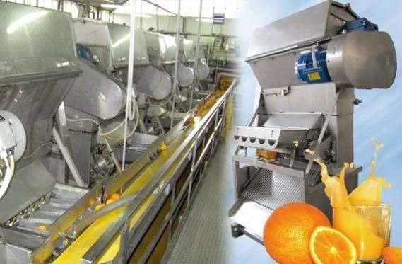 Citrus Fruits Essential Oil Extractor