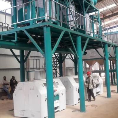 70t/24h Corn Grinder Corn Milling Machine in Kinshasa Dr Congo