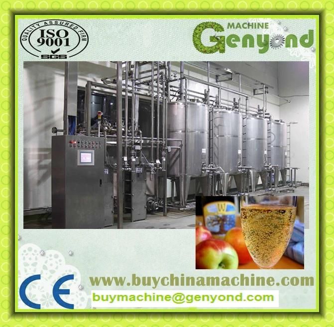 China Stainless Steel Beer Fermenter Equipment
