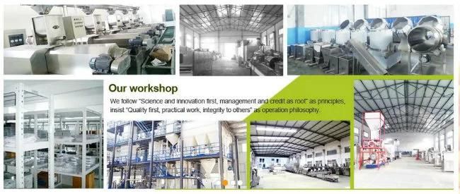 Fish Tilapia Feed Twin Screw Extruder