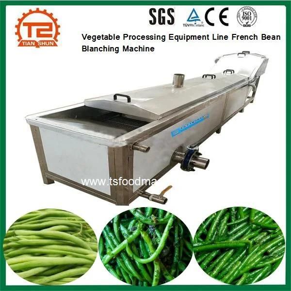 Vegetable Processing Equipment Line French Bean Blanching Machine
