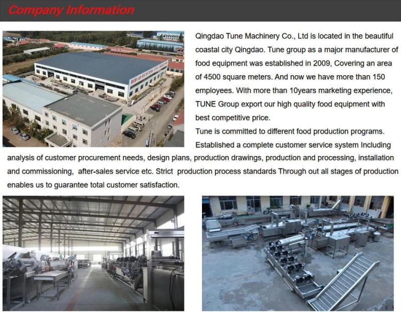 Gas Heating Stainless Steel French Fries Production Line