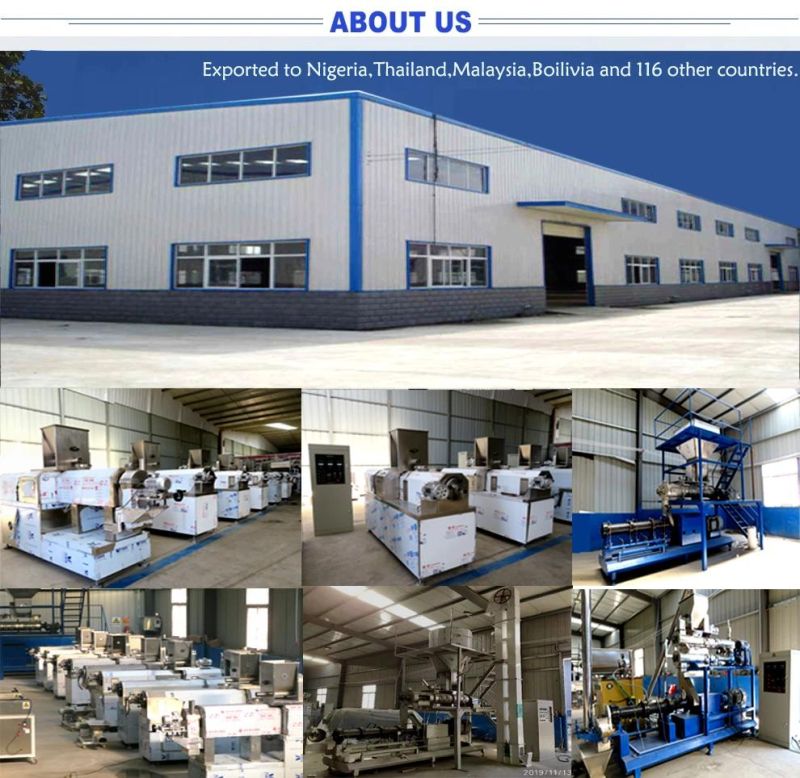 Corn Snacks Food Processing Equipment