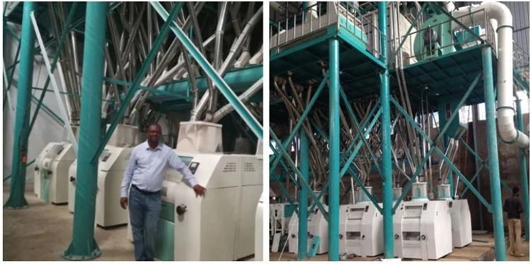 China Hongdefa Top Quality EU Standard 100t Maize Processing Machine