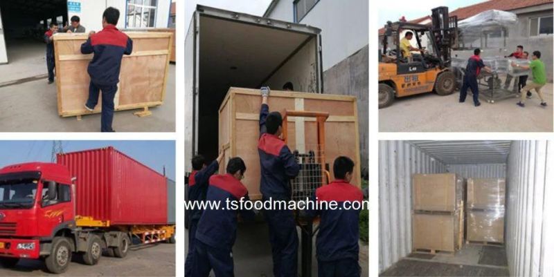 Air Power Small Vegetable Washing Machine