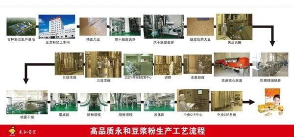 Complete Onion Powder Processing Plant
