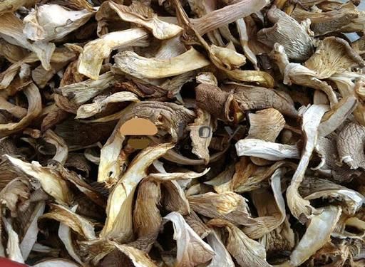 Industrial Vegetables Food Dehydrator Machine Oyster Mushroom Dryer