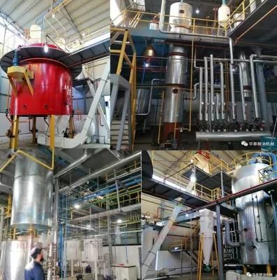 Groundnut Oil Press Machine for Refined Peanut Oil
