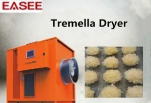 Air Source Food Machine Dried Product Heater for Tremella Dryer