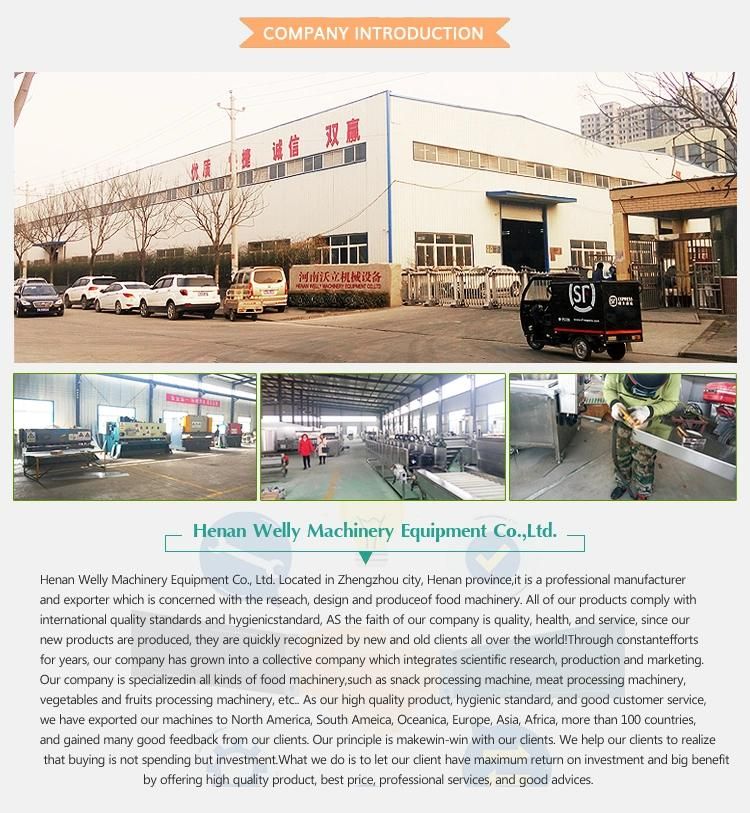 High Quaility Pork Saline Injection Machine Electric Meat Injection Machine