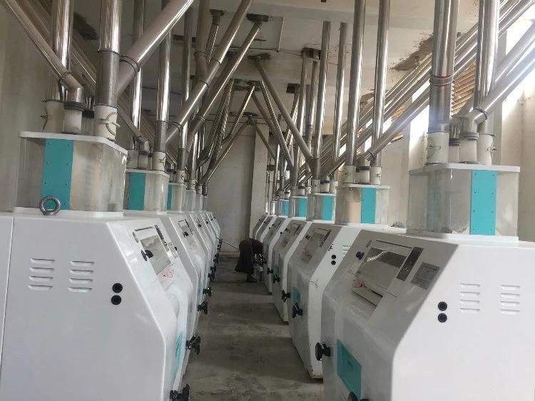European Standard 120t/24h Wheat Flour Mill Produce Biscuit Cake Pasta