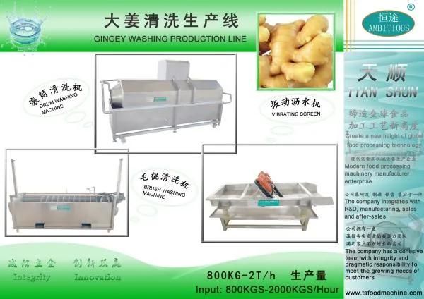 Ginger Processing Ginger Washing Cutting Drying production Line