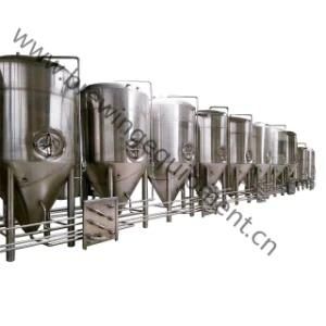 Microbrewery Equipment 500L Stainless Steel Beer Fermenter