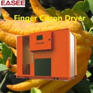 Industrial Vacuum Finger Citron Dryer Heat Pump Vegetable Drying Machinery