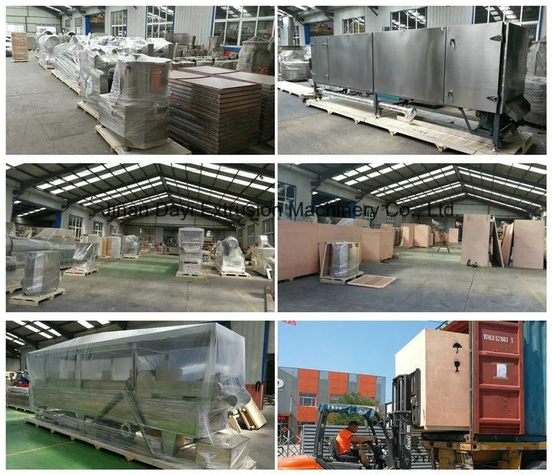 Stainless Steel Twin Screw Extruder Auto Cheese Puffs Snack Food Machine