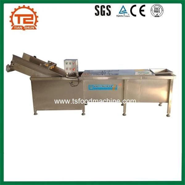 Commercial Lettuce Washing Machine Fruit Ozone Sterilizer Washer