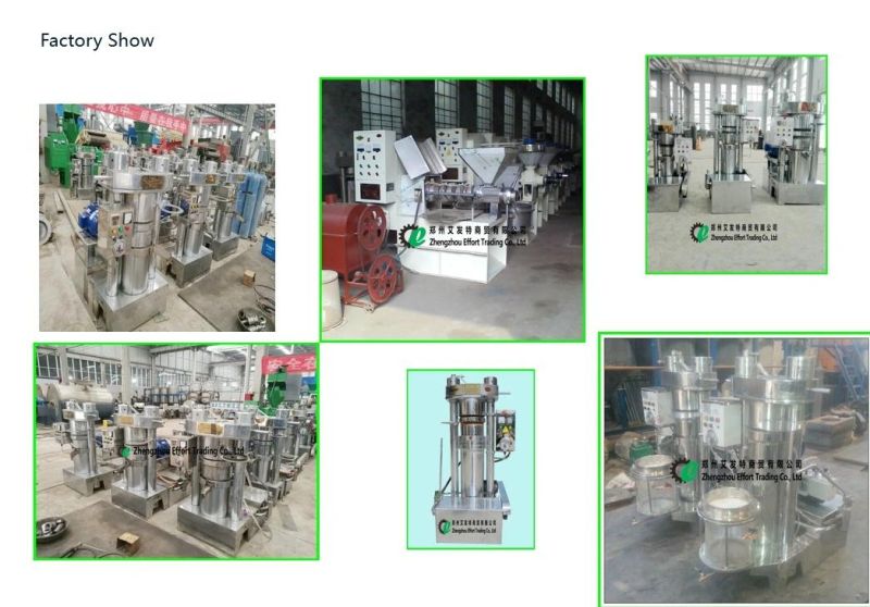Top Quality Hydraulic Oil Squeezer, Walnut Oil Press Machine