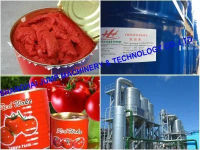 High Speed Canned Tomato Sauce &amp; Ketchup Filling Line