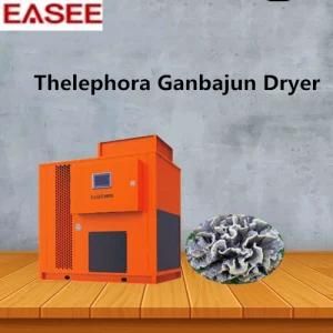 Air Hot Circulating Food Drier Machine Dehydration for Thelephora Ganbajun Dryer
