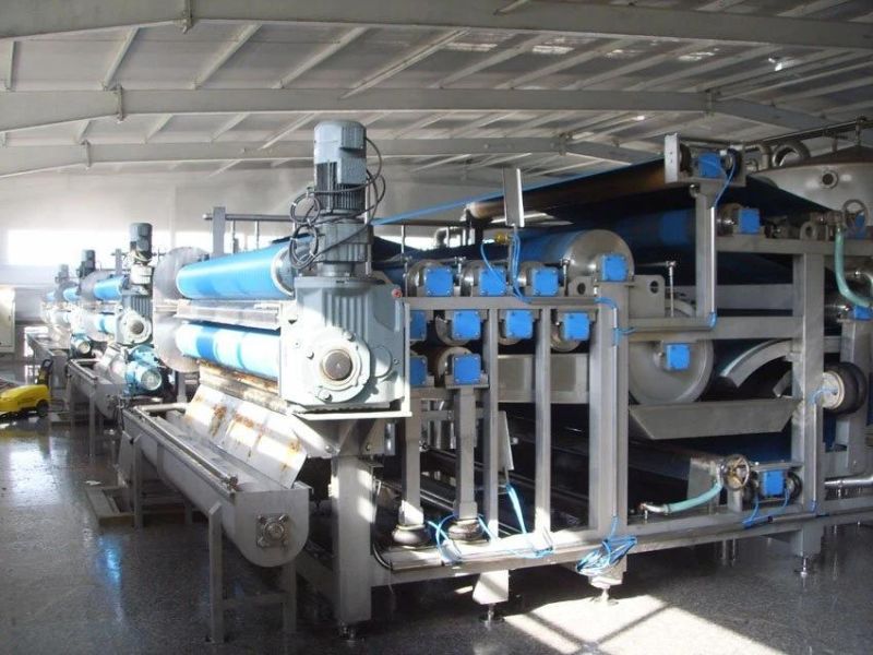 Apple Belt Press for Sale