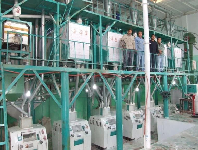 Small Scale and Middle Capacity Wheat Flour Mill