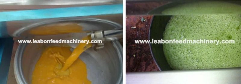 Commercial Fruit Juice Making Machine Industrial Cold Press Juicer Extractor Machine