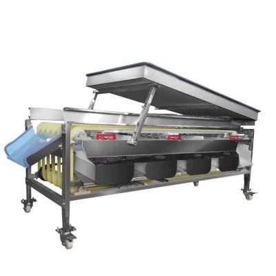 Chinese Suppliers Fruit and Vegetable Sorting Grading Machine