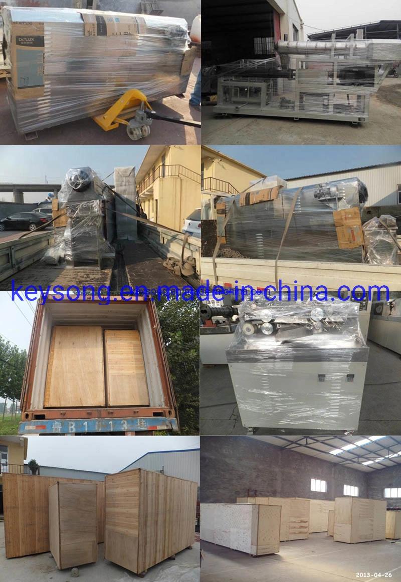 Stainless Steel Potato Chips Making Machine Food Processing Machinery