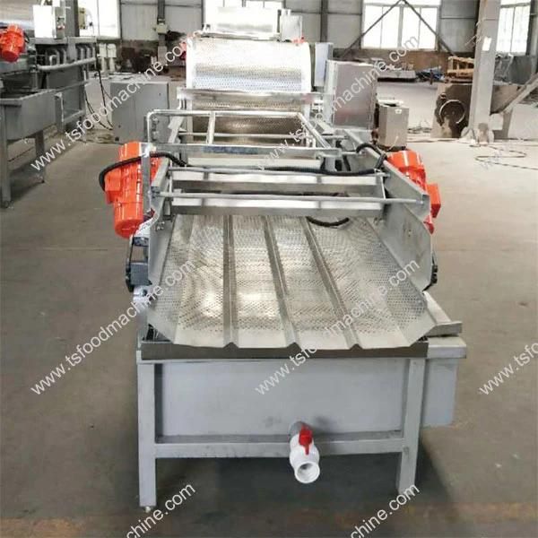 Automatic Fresh Leafy Vegetables Washing and Air Drying Production Line