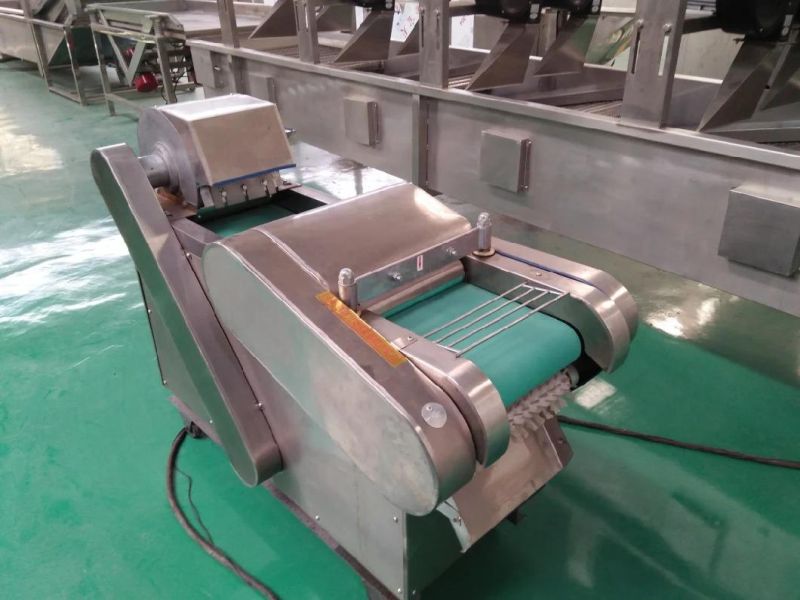 Dehydrated Vegetable Fruits Processing Line