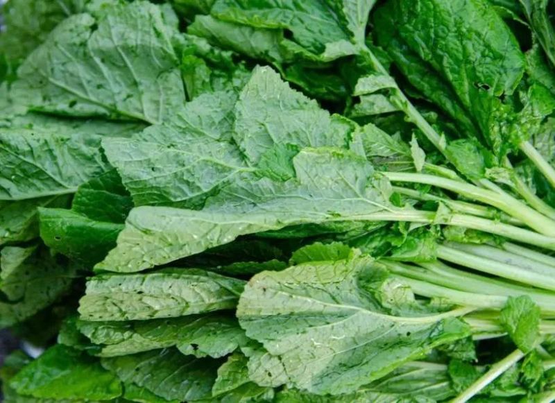 Vegetable Cleaner and Washing by Ozone Leafy Green Washing Machine