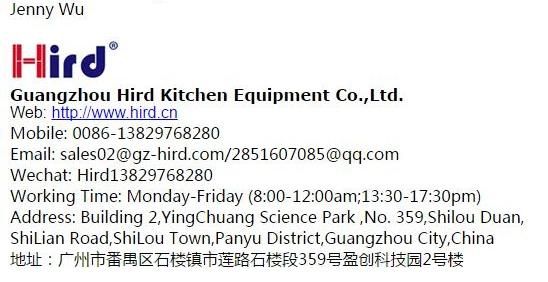 CE Fryer
