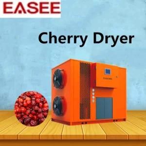 Energy Safety Air Hot Heat Pump Cherry Dryer for Dried Fruit Drying Machine