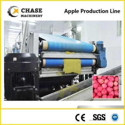 China High Quality Date Fruit Juice Paste Processing Plant