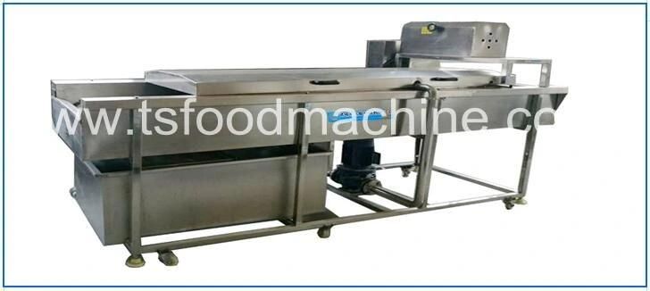 Brush Type Continuous Cucumber Washer and Washing Machine for Sale