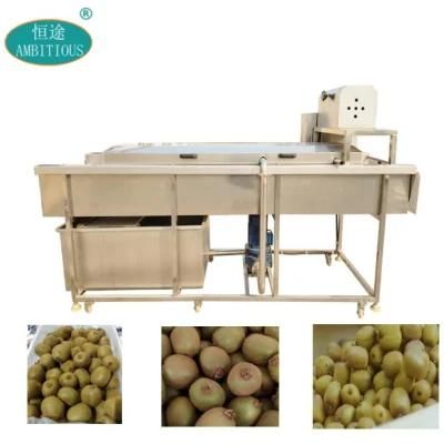 Kiwi Fruit Cleaning Machine Kiwi Processing Line