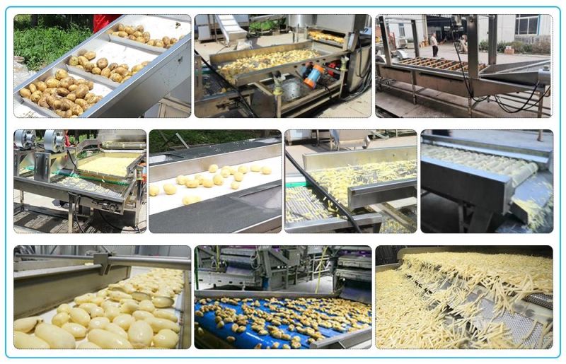 Automatic Potato Chips Frying Machinery Quality Frozen French Fries Making Machine