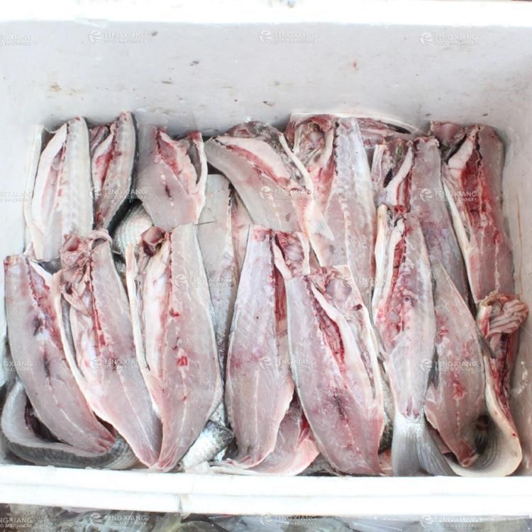 Fish Cutting Machine, Fish Fillet Machine, Fish Filleting