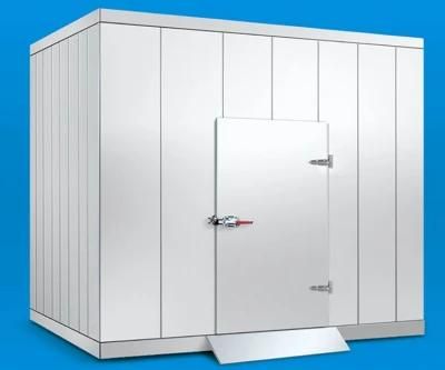 Walk in Commercial Freezer