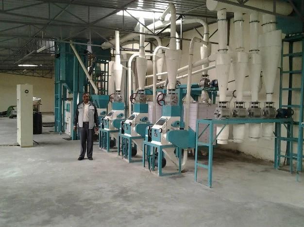 30t/24h Maize Flour Mill High Quality Low Cost