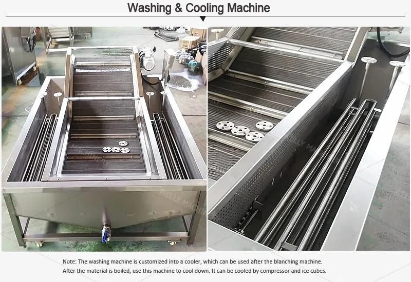 Easy Operation Scallion Welsh Onion Apium Graveolens Celery Washing Machine for Farm Use