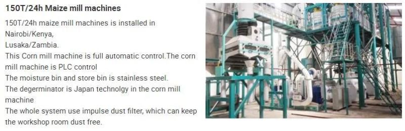 20t/24h Maize Flour Milling Machine Running in Tanzania