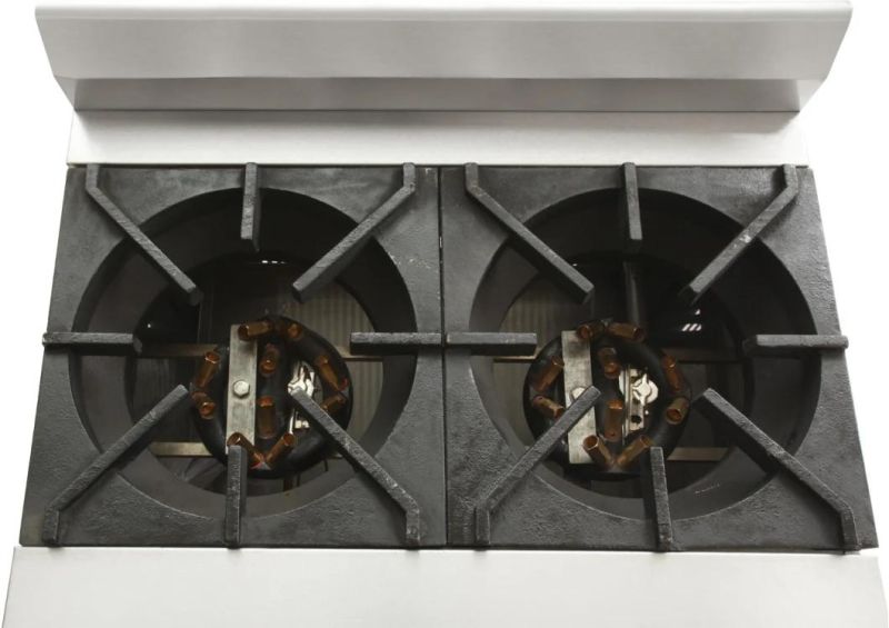 Factory Price Commercial Gas Stove 2 Burner Cooker for Hotel Restaurant