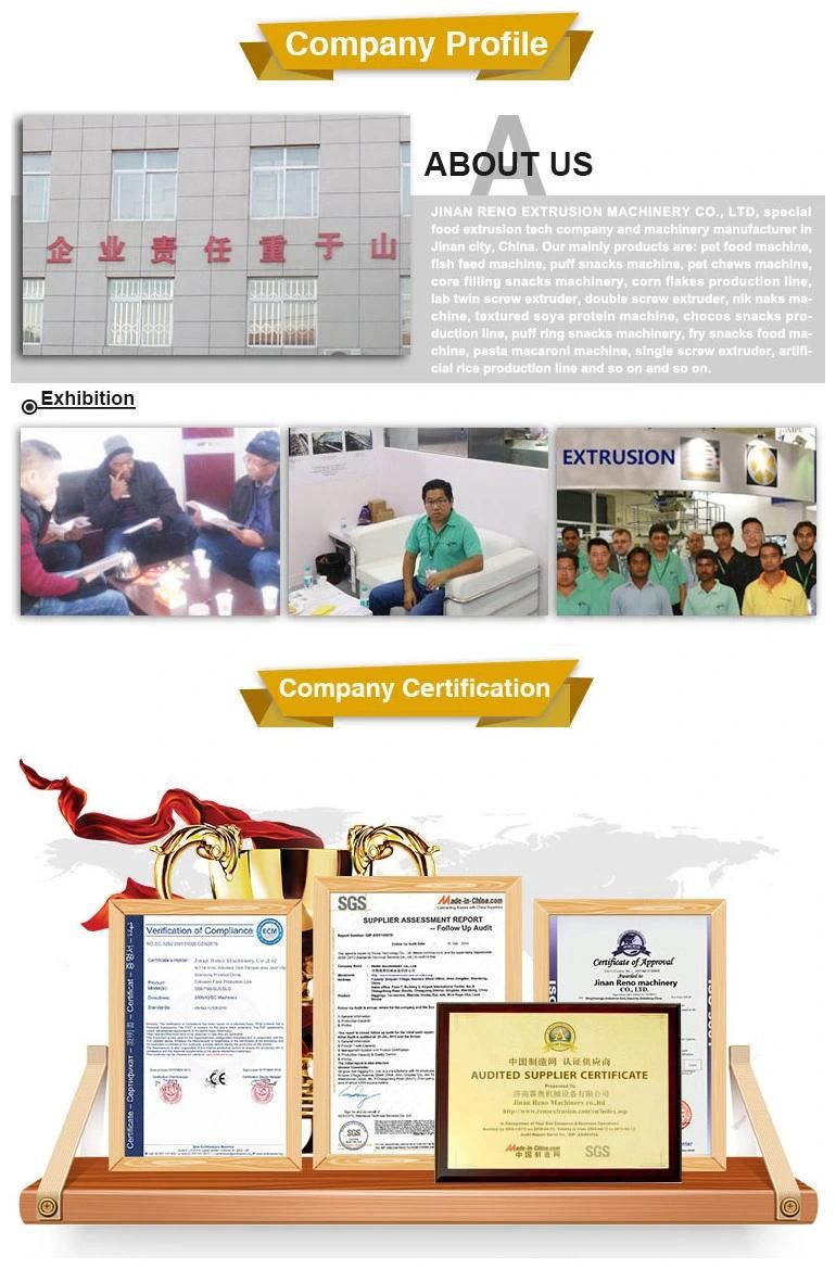 Kurkure Making Machine Price