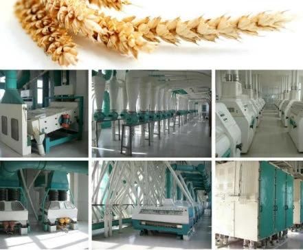 Stainless Steel Pipes Wheat Grain Flour Milling Machine
