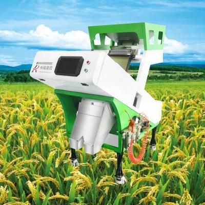Rice Sorter Machine Manufacturer
