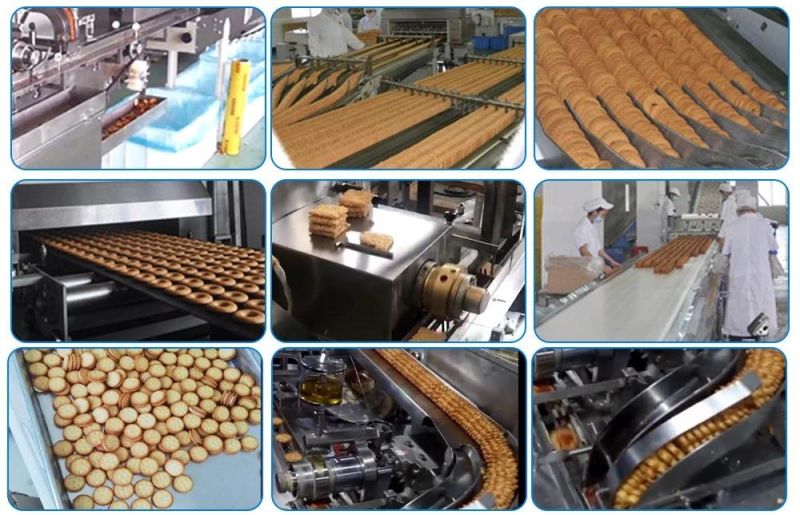 2021 Hot Salse Biscuit Factory Machinebiscuit Cookie Machine