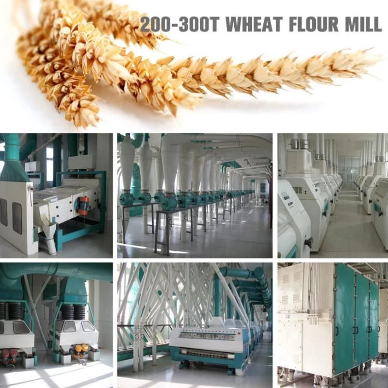 Reliable Wheat Machine Factory for More Profit