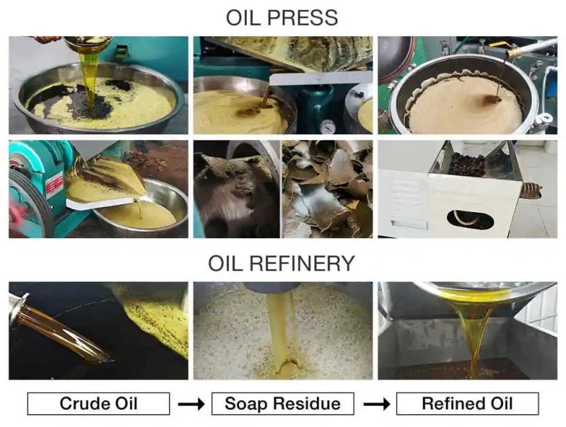 High Oil Yield 11tpd Screw Press Sunflower Cotton Sopybean Oil Press on Sale
