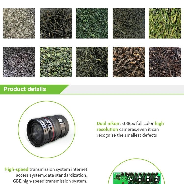 Black Tea Sorting Machine